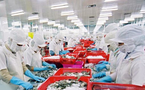 Kiên Giang: Kim ngạch xuất khẩu tăng 81%.