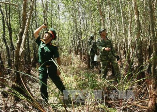 Nhiều diện tích rừng ở Cà Mau đứng trước nguy cơ cháy cao