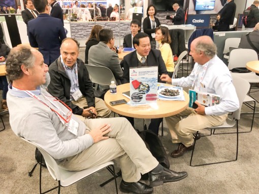 “Chiến mã” IDI