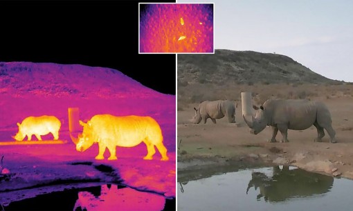 Ứng dụng công nghệ quan sát thiên văn chống săn trộm động vật quý hiếm