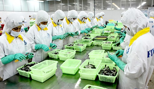 Nỗ lực khắc phục tình trạng hàng thủy sản xuất khẩu bị cảnh báo vi phạm an toàn thực phẩm