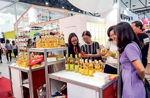 Cú hích để cá tra Việt Nam “Vượt vũ môn”