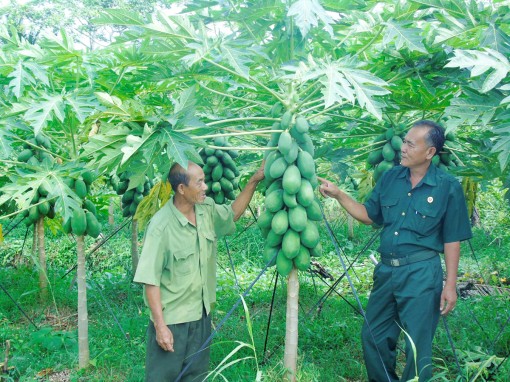 Nhân rộng mô hình dân vận khéo đạt hiệu quả cao