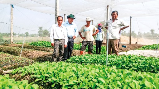 Hướng đến

an toàn thực phẩm,

bảo vệ môi trường