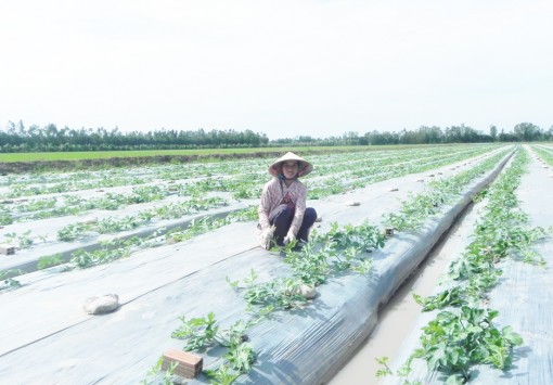 ចូល​​ឆ្នាំ​​ថ្មី​​សុខ​​ដុម​​រ​ម​​នា