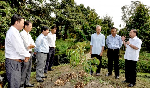 Tiếp tục thực hiện đồng bộ, quyết liệt các giải pháp xây dựng, chỉnh đốn Đảng gắn với sắp xếp, kiện toàn tổ chức, bộ máy