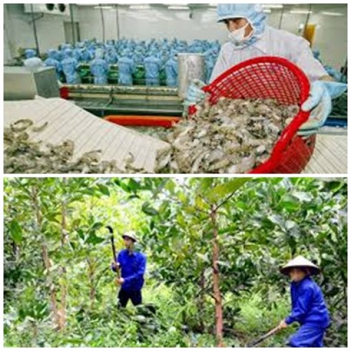 Triển khai thi hành Luật Lâm nghiệp, Luật Thủy sản