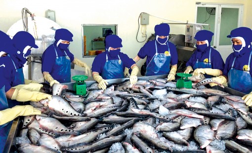 Tín hiệu vui từ nông sản được kiểm soát an toàn thực phẩm