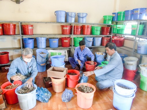 Khơi dậy tinh thần nhân đạo trong cộng đồng