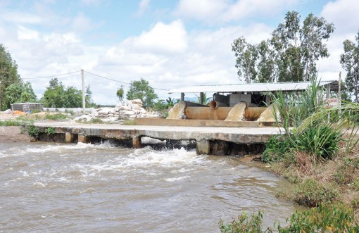 Sử dụng nguồn nước mưa hợp lý, phục vụ sản xuất