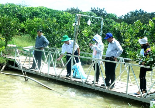 Về xứ cù lao