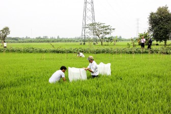 Tăng tốc Dự án Chuyển đổi nông nghiệp bền vững