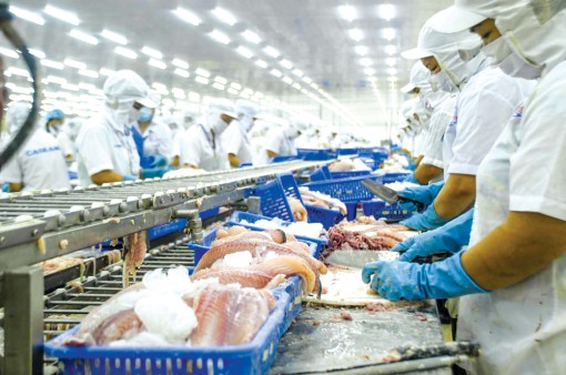 Nâng chất lượng, giá trị sản phẩm, giảm rủi ro