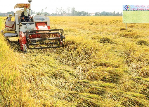 Trợ lực cho nông dân