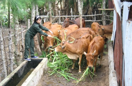 Khẳng định vai trò của tuổi trẻ ở các đảo thanh niên