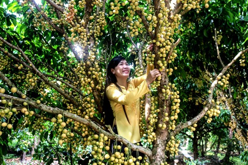 Triển vọng ĐBSCL trên bản đồ du lịch quốc tế