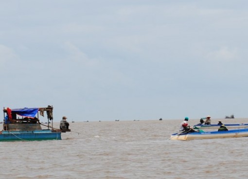 Cà Mau: Xuất hiện sò huyết giống ở bãi bồi Đất Mũi, dân đổ xô khai thác