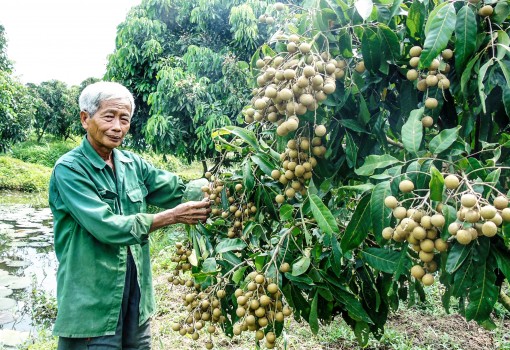 Giúp dân thực hiện khát vọng làm giàu