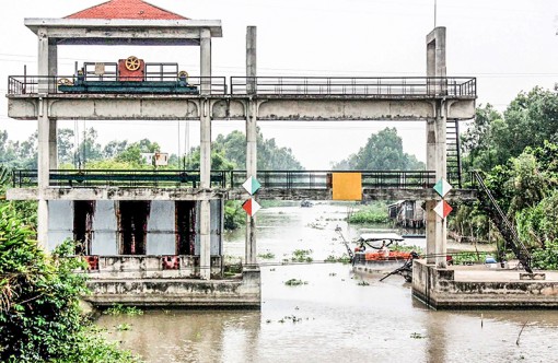 ĐBSCL đối diện với nhiều thách thức về biến đổi khí hậu