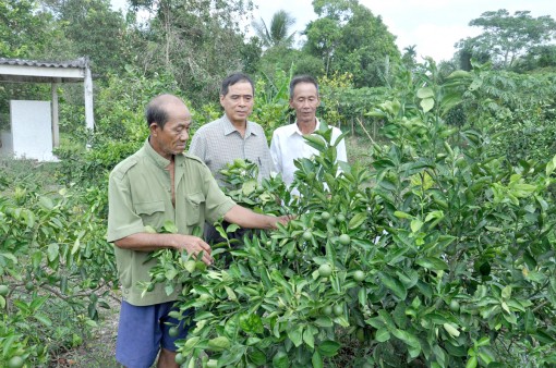 Sức sống mới trên quê hương anh hùng