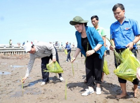 Chủ tịch Quốc hội dự Lễ trồng cây tại cây số 0 ở tỉnh Cà Mau