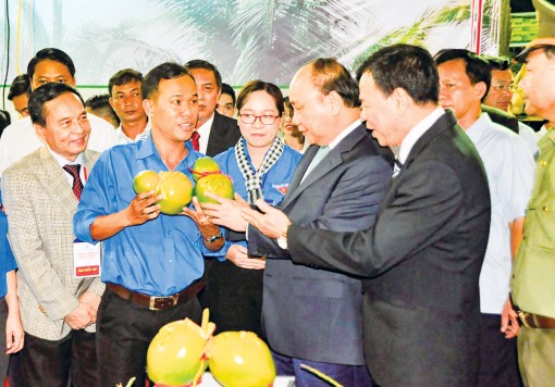 Ươm mầm chờ mùa trái ngọt <br> Bài cuối: Giữ “lửa” khởi nghiệp