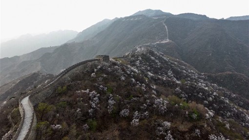 Sử dụng UAV bảo tồn Vạn Lý Trường Thành