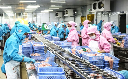 Kỳ vọng về một đồng bằng mới