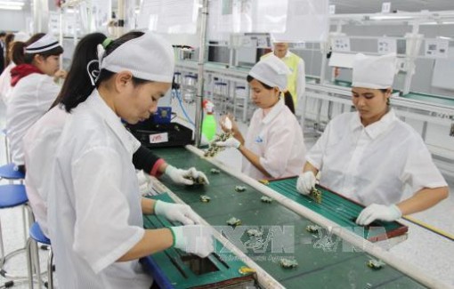 Doanh nghiệp nội cần thêm nội lực