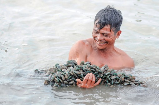 Nuôi sò huyết

xen vẹm xanh ven biển cho thu nhập cao