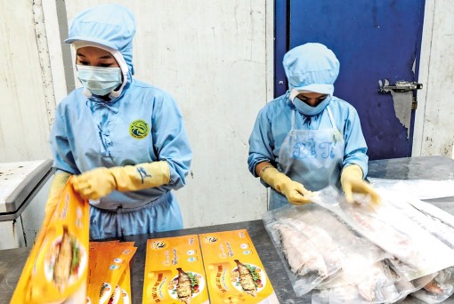 “Bắt tay” sản xuất quy mô lớn, theo chuỗi giá trị