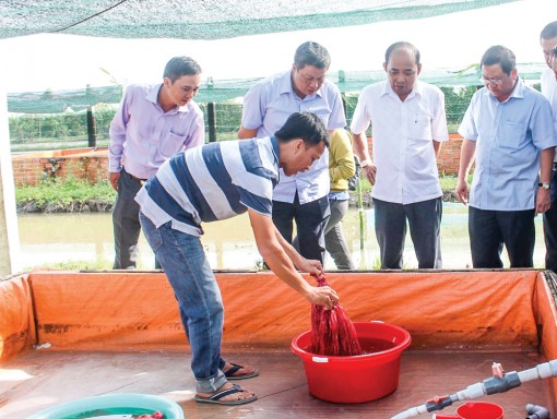 Vượt khó để hoàn thành các chỉ tiêu