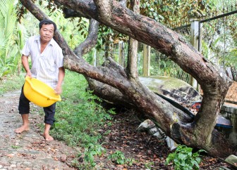 Tự tin với nhãn hiệu

Vú sữa Thới An Đông