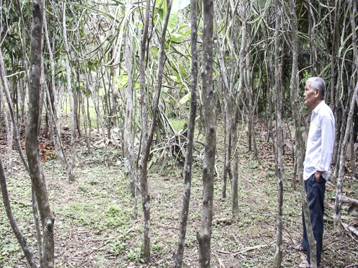 Đời sống nhân dân gặp nhiều khó khăn