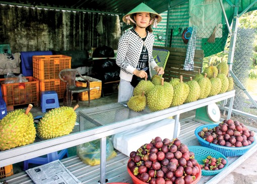 Nhiều cơ hội và thách thức từ các FTA thế hệ mới