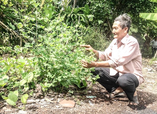 Ông Ba Hạnh trả ơn cho đời