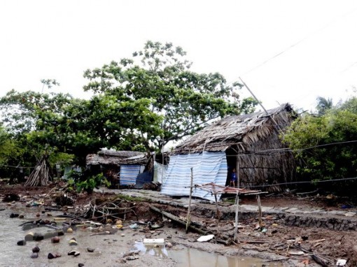 Cà Mau: Xuất hiện nhiều điểm sạt lở nghiêm trọng ở tuyến đê biển Tây