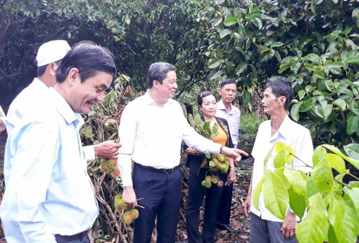 Hỗ trợ nhân rộng các mô hình mẫu về phát triển nông nghiệp đô thị