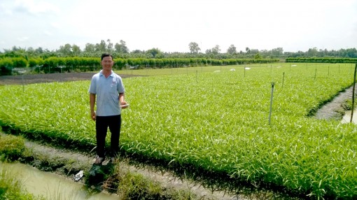 Hỗ trợ nông dân nâng cao hiệu quả sản xuất