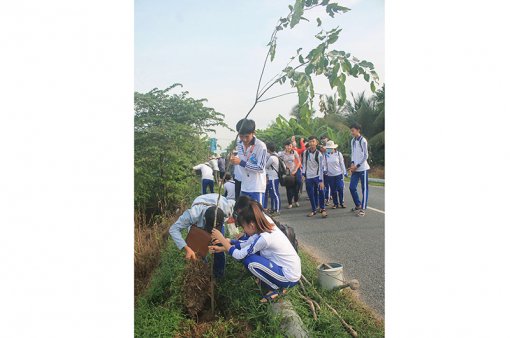 Nỗ lực “phủ xanh” thành phố