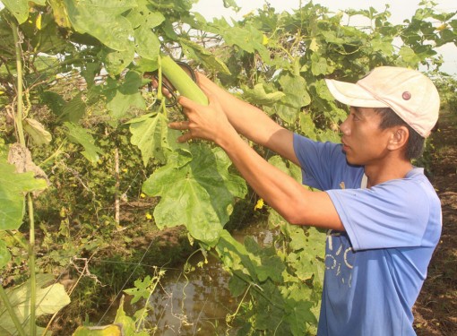 Giúp đoàn viên thanh niên nghèo ổn định cuộc sống