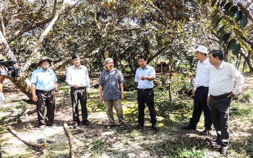 “Tương tác” tạo lực hoàn thành

các tiêu chí nông thôn mới