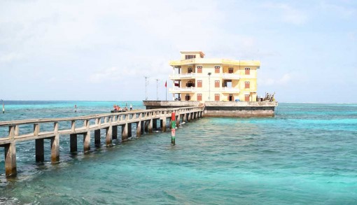 Màu xanh trên đảo Tốc Tan