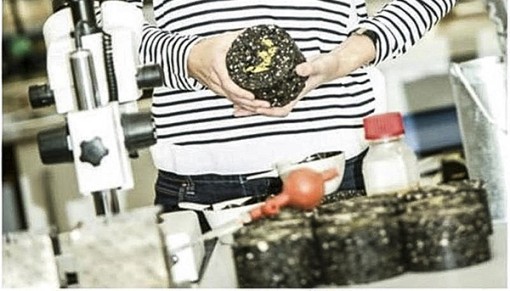 Nhựa đường thân thiện môi trường