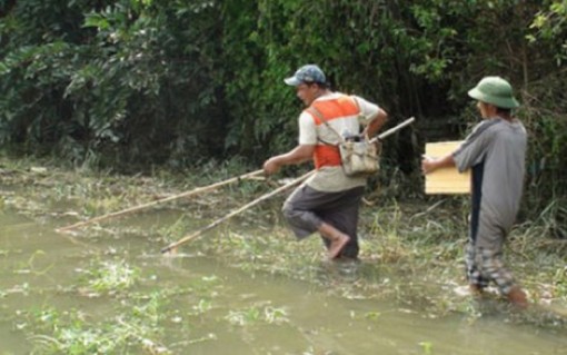 Chích cá bằng xung điện, nam thanh niên bị điện giật chết