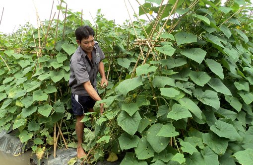 Xây dựng Đề án Tái cơ cấu sản xuất công nghiệp TP Cần Thơ theo hướng hiện đại