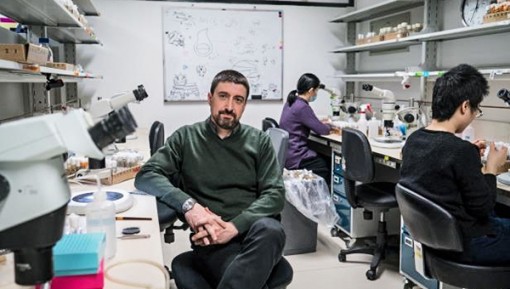 Trung Quốc thách thức thế thống trị

về khoa học của Mỹ