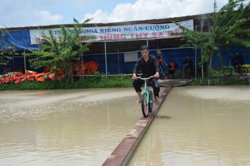 Đồng Tháp: Tạo môi trường du lịch thân thiện, tươi đẹp