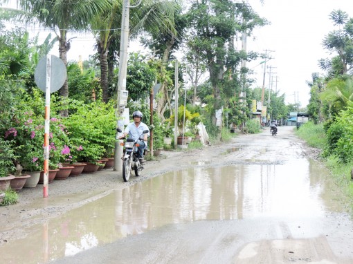 Đường dân sinh không đảm bảo an toàn giao thông     