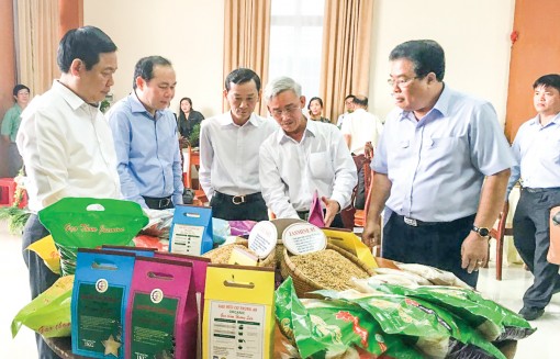 Kỳ vọng phát triển nông nghiệp công nghệ cao ở Đồng bằng sông Cửu Long